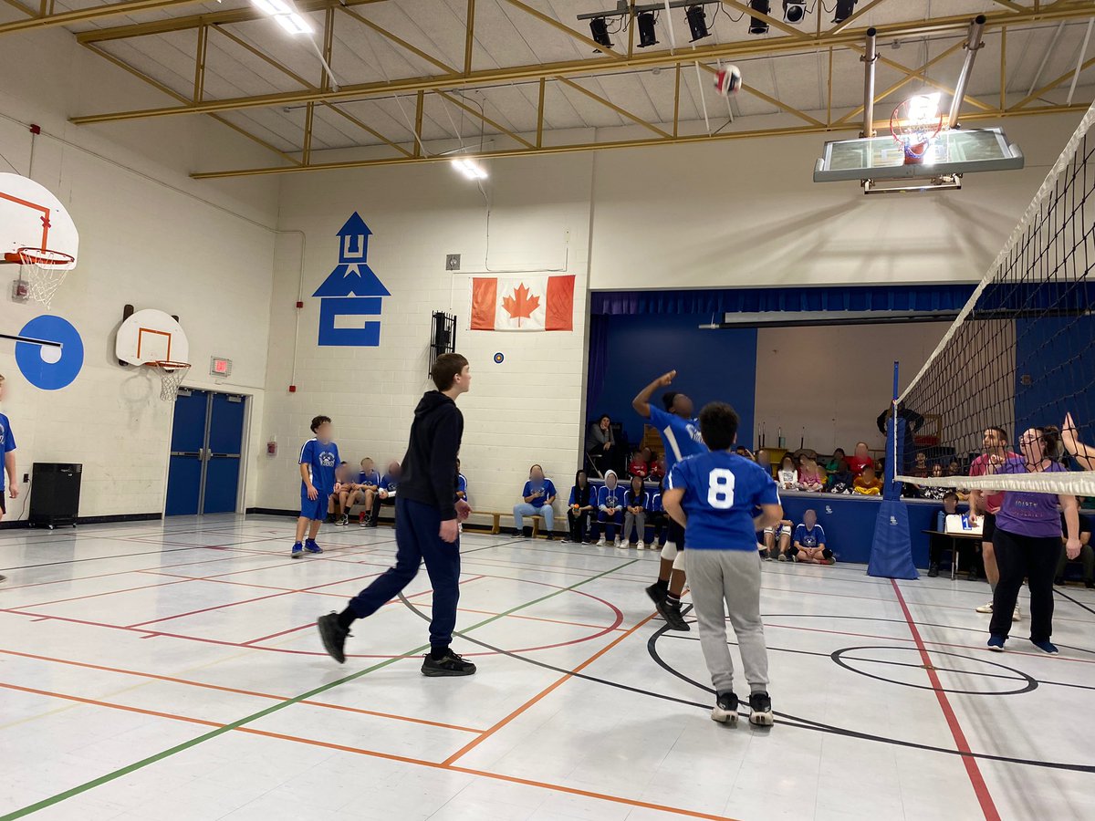 Kristen Ciechanowicz tweet media