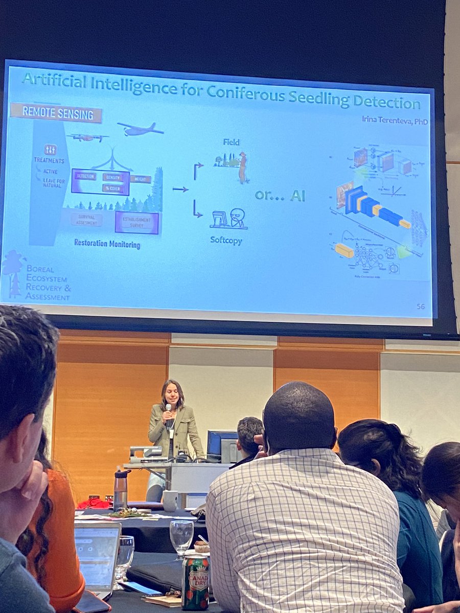 Courtney Miller tweet media