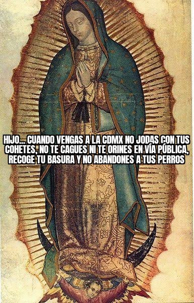 Mensaje para los borregos provincianos que asisten a la basílica.