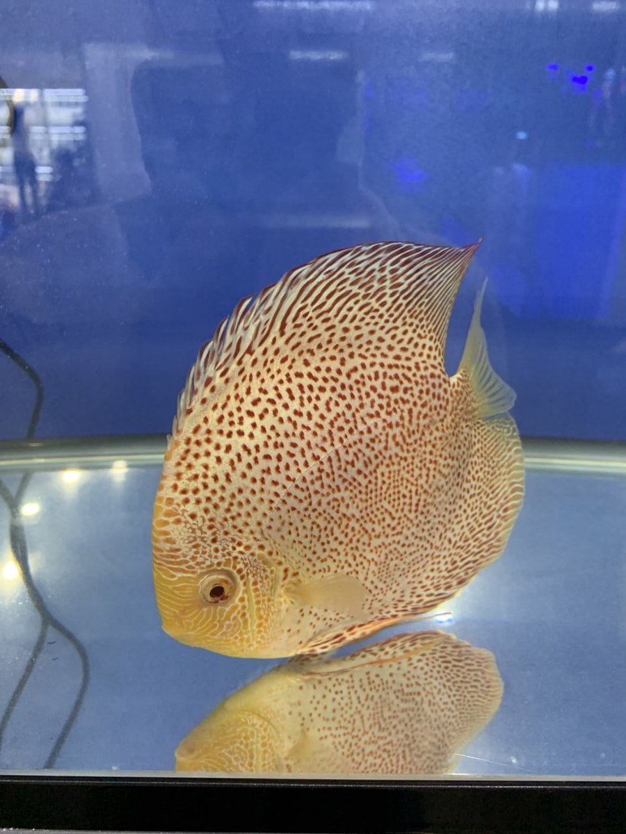 #Fish #OMG
