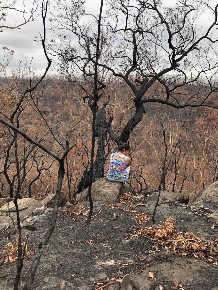 #BlackfullaTwitter I’m searching for wellbeing support mechanisms for mob working in caring for sick &amp; mismanaged Country. We gather on Country with mob but I don’t know the psychology &amp; I want to do right by my team &amp; I. Work offers generic gov EAPS but I know that’s not enough