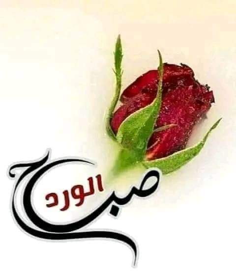 يماني في بلاد الغربه (@bww99451105) on Twitter photo 