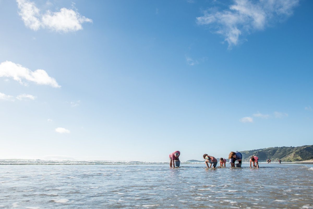 NZUN's tweet photo. 🌊 We commemorate the 40th anniversary of the @UN Convention on the Law of the Sea. New Zealand is committed to working with all Member States to address challenges facing our oceans, and ensure the sustainability of fisheries. #UNCLOS40 
🔗 https://t.co/L2jMQYnE5G https://t.co/heqVFpddH8