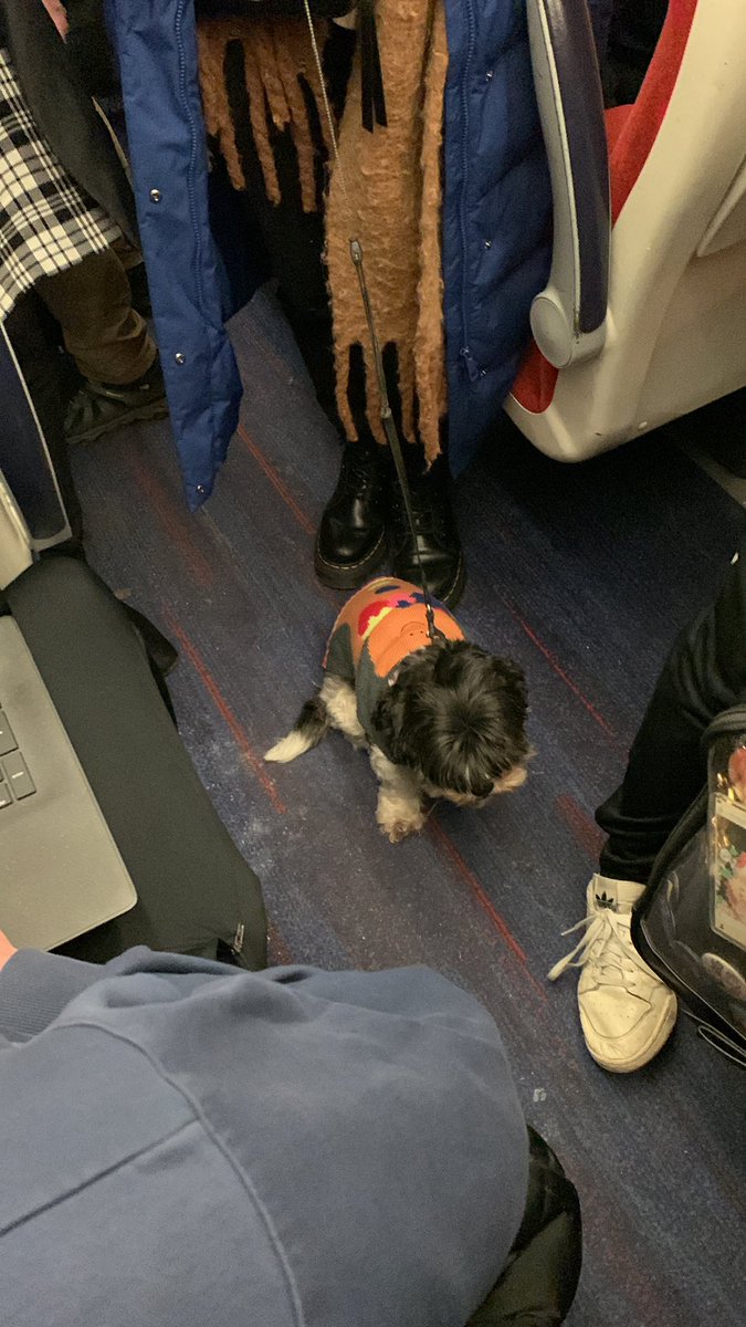 Met a friend on the train although don’t think the owner was too happy with me barking at her dog