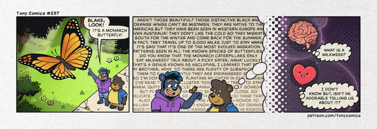Tony_Comics's tweet photo. #237 Butterfly
https://t.co/56DirQ4ZDP https://t.co/4eTPwo7msA