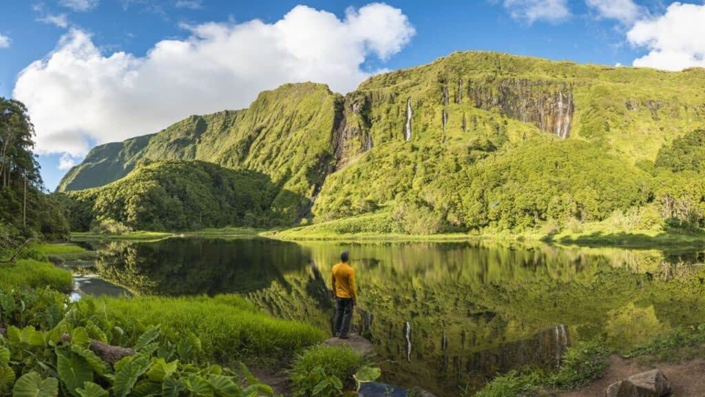 #Biodiversité Ras le bol, la COP est pleine, rejoignez-nous ! 🦋🐾🐝🦏🦒

Le billet de Pierre Rustin : « La #COP15montreal ou comment oser ne pas agir pour la biodiversité »
👉 generationecologie.fr/2022/12/09/la-…