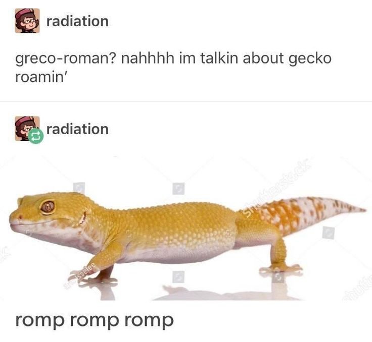 Romp romp romp.