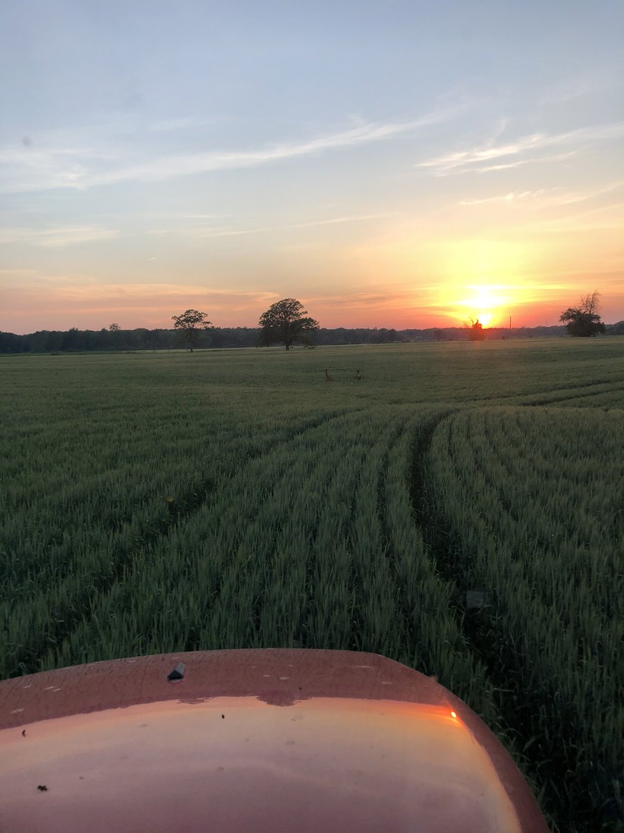 KevinKevdevries's tweet photo. @ClarkAgri @NKSeedsCanada Wheat is my favourite crop to spray, if you look close you might see a deer or 2 in the field as well! https://t.co/iT0wCbZBEN