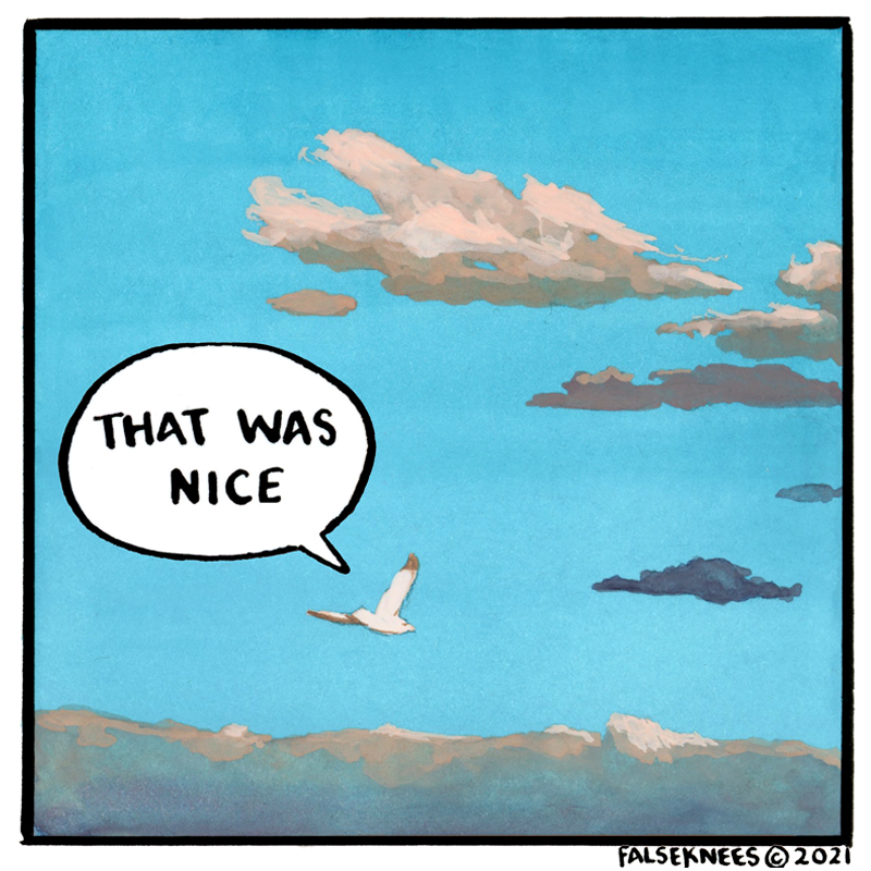 FalseKnees tweet picture