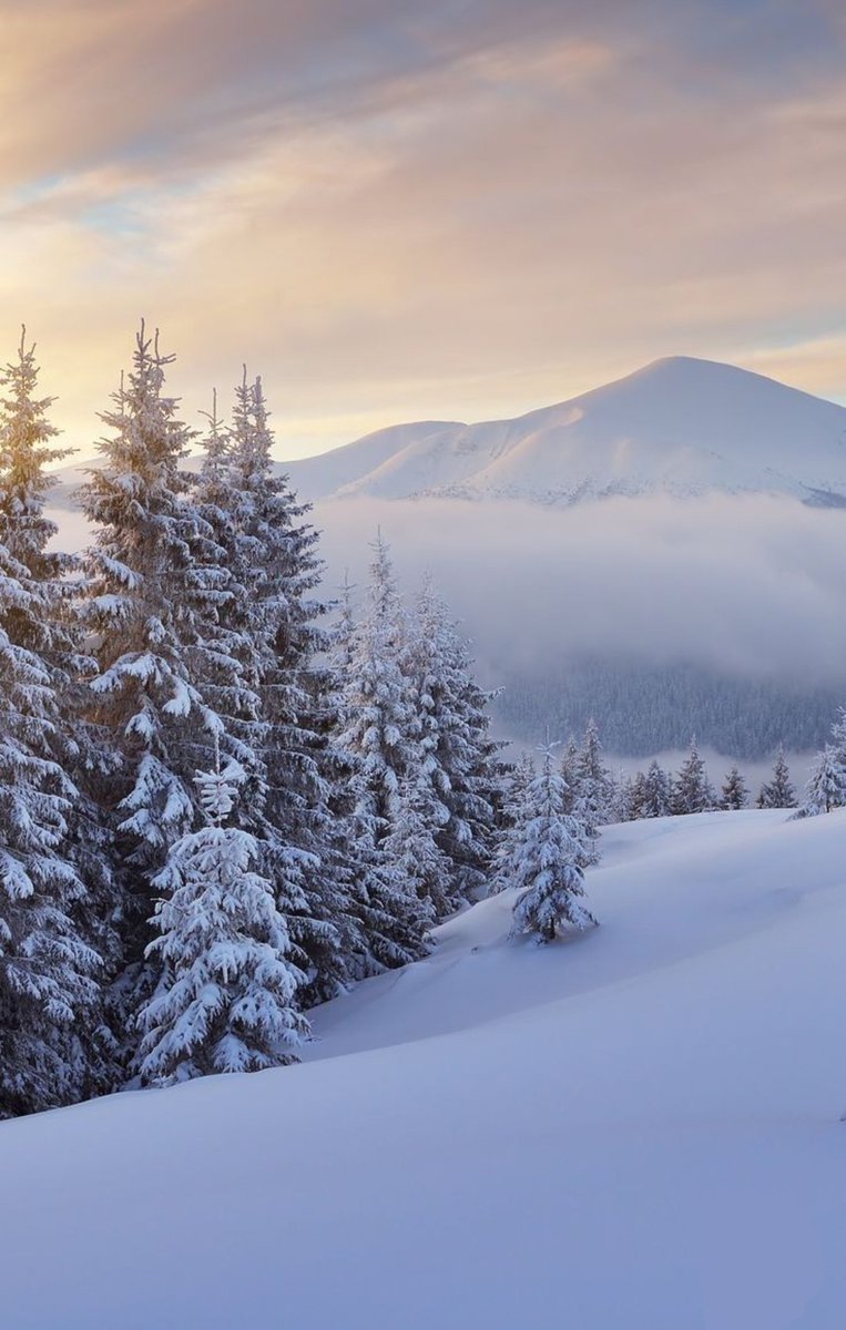 HeartFromSoleil's tweet photo. ⛄️Tommy it's cold outside❄️
>Sbi one-shot
>1.6k words
>Beta by: @LemonBi_
#lemonficevent #ficadvent2022 #sbific
>Link: https://t.co/wVle4bWzkQ https://t.co/HcKx1ae0nJ