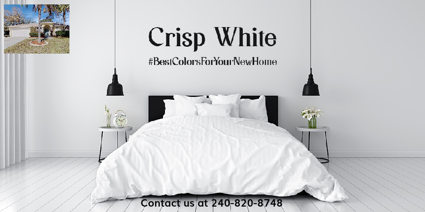 BigDadWay's tweet photo. White walls and white furniture look clean and elegant. Give it a bright touch with beautiful indoor plants. #HomeDecorTips #RealEstate #TipsToDecorateHome #Realtor #HomeDecor  
#SingleFamilyHomeForRent
#NEWPRTRCHYRealtor https://t.co/LEGhu9gWg4