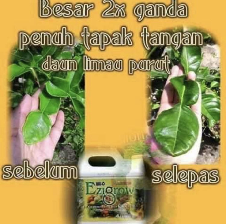 Azmi_Zahari_'s tweet photo. Testimoni Ezigrow🌿🎉
.
#Ezigrow #sayagunasayajual https://t.co/B8qg2QI6Nh