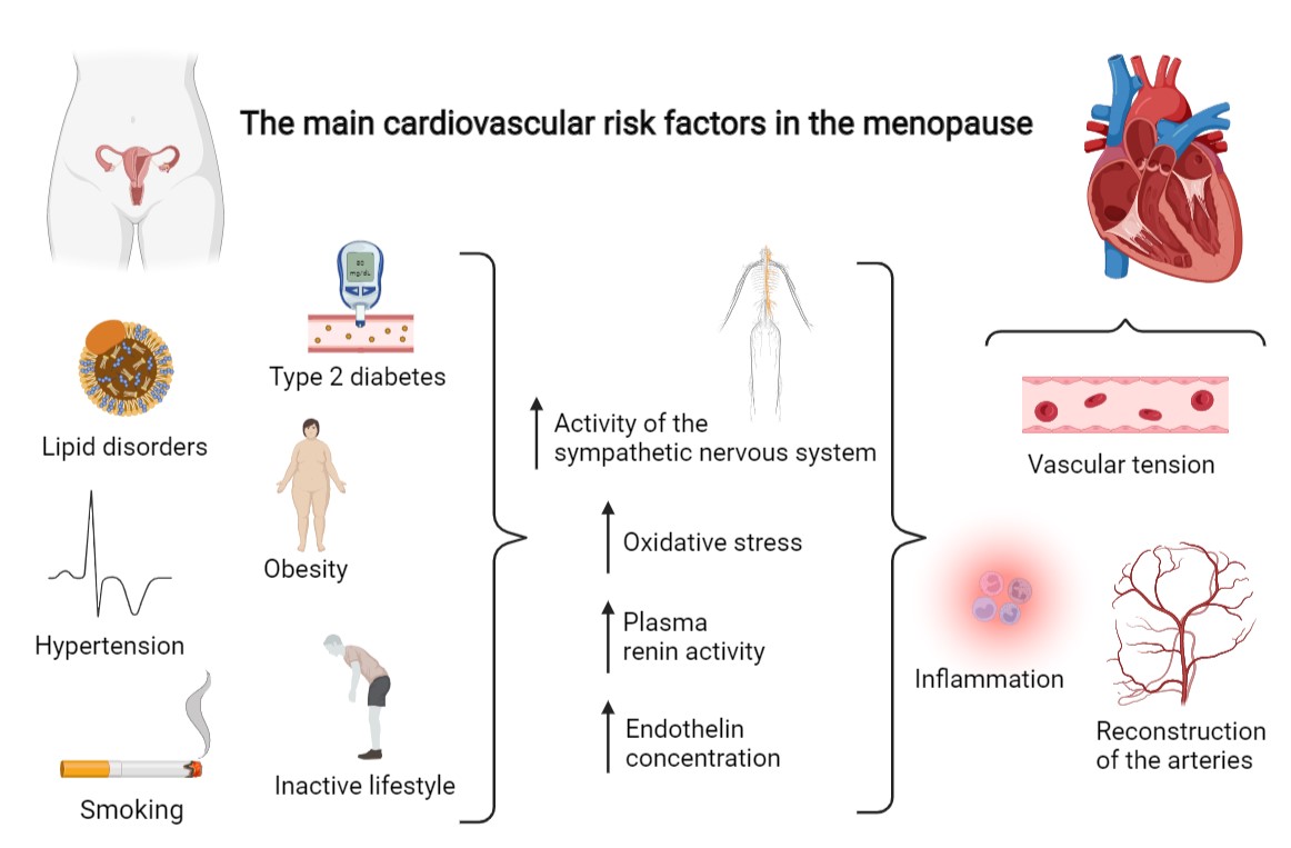 I am very proud of my young associate Dr. #WeronikaAdach and her recent state of the art paper on the '#Menopause and women’s #cardiovascular #health – is it really an obvious #relationship?'

#WomenHealth #Medtwitter #CardioTwitter #WomenHeartHealth 

archivesofmedicalscience.com/Menopause-and-…