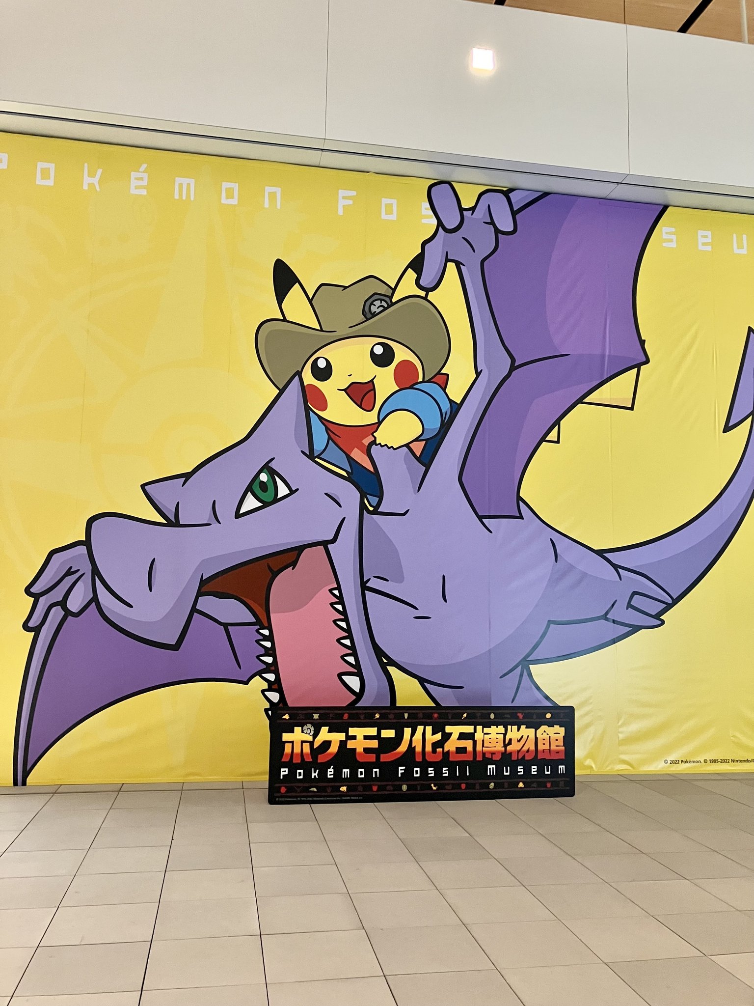 ポケモン - 化石 夏休みはバスで「ポケモン化石博物館」へ！ | 特集｜kataru net