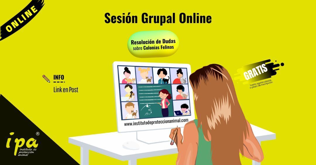 DeAnimals | Escuela de Formación en Derecho Animal tweet media