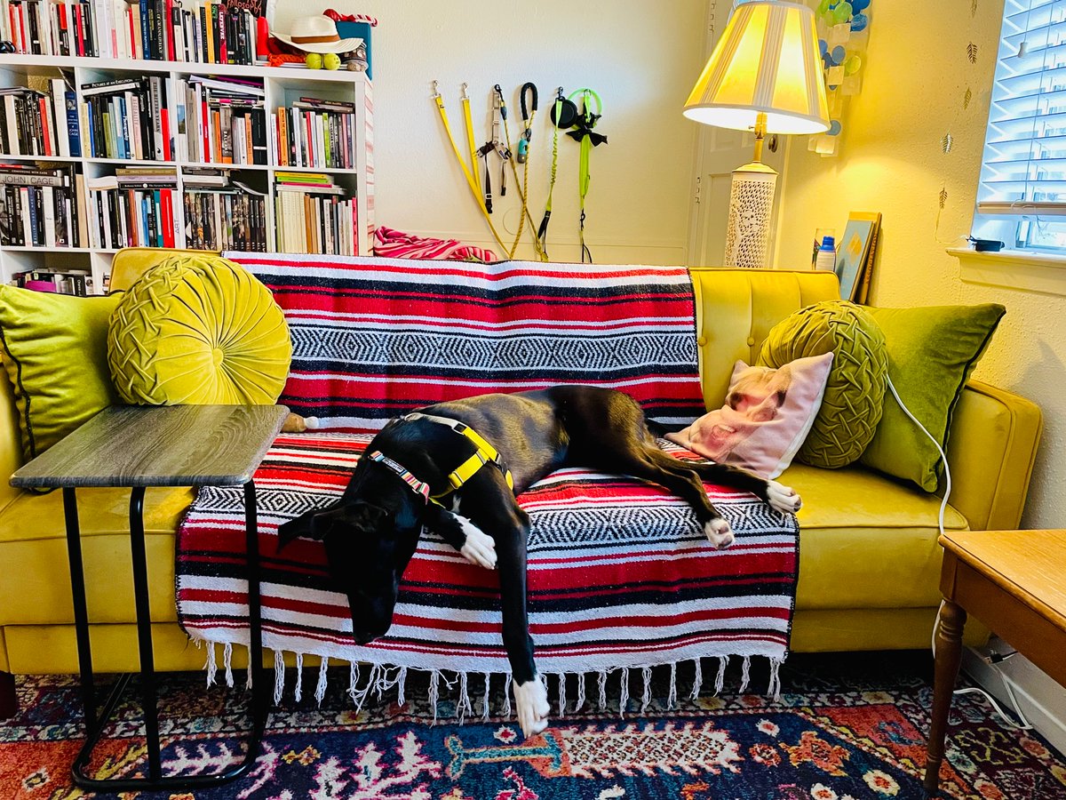 lilyibrew's tweet image. there’s a punctum contractor who’s not pulling her weight in the office