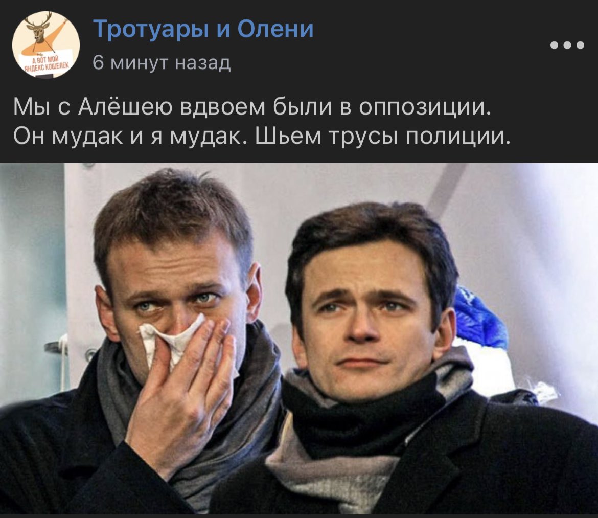 Илья Яшин Немцов Навальный