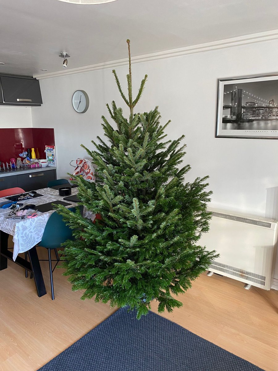 Listed801's tweet photo. Finally we put our Christmas tree up this evening🎄 worth waiting for 😁 @TVInfants @RosaTVI @AdamDobsonTVI #MakingMemories https://t.co/oWEdV23N69
