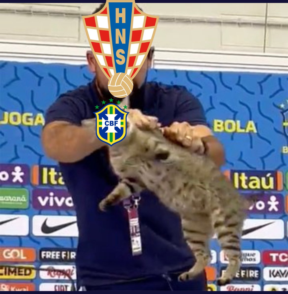 DI NO AL MALTRATO ANIMAL ‼️

#CroatiaVsBrazil #Qatar2022 #mememundial #brasilgato