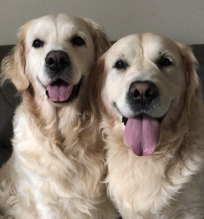 💖 Lily & Teddy 💖 tweet media