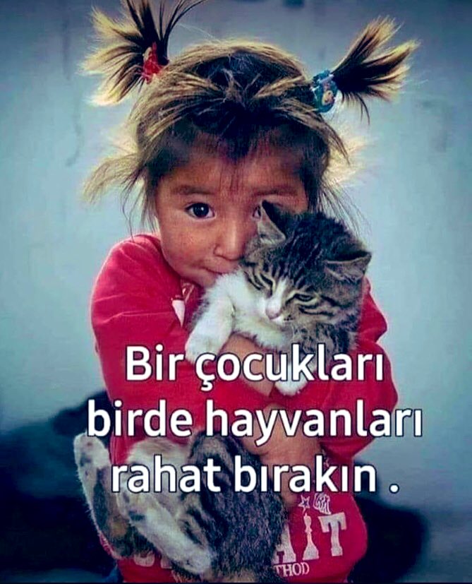 Lütfen rahat bırakın 😔