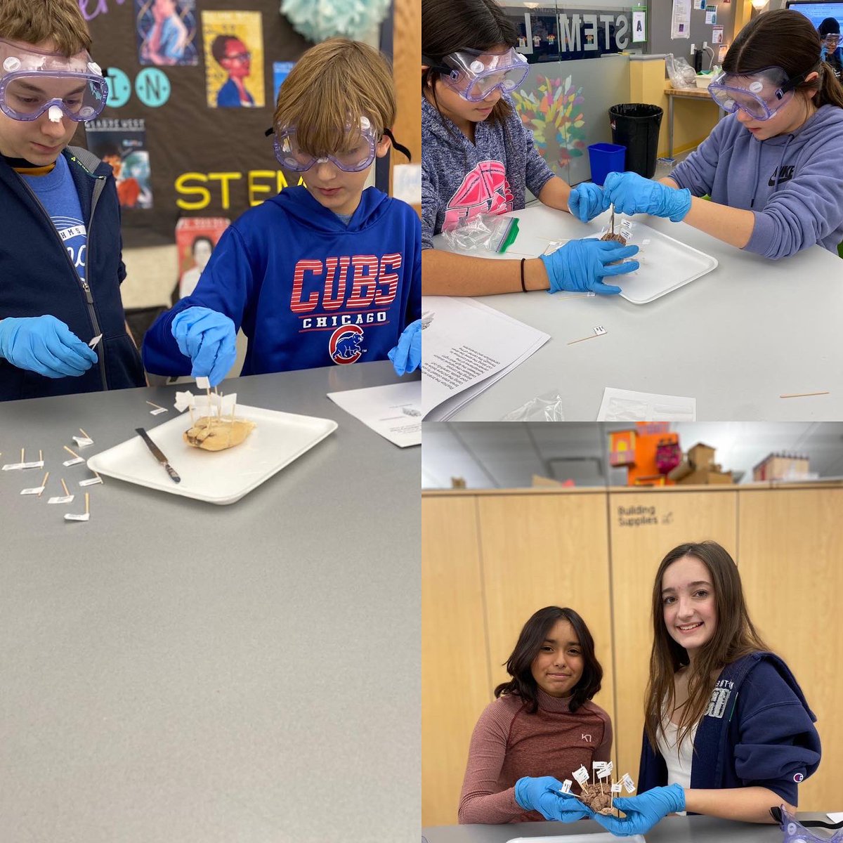 scullotta22's tweet photo. Medical Detectives π΅οΈ Dissecting Sheep brains π§ #pltw #bhmsSTEM #aim2empower #disection #medicaldetectives https://t.co/mwobfwdNIv