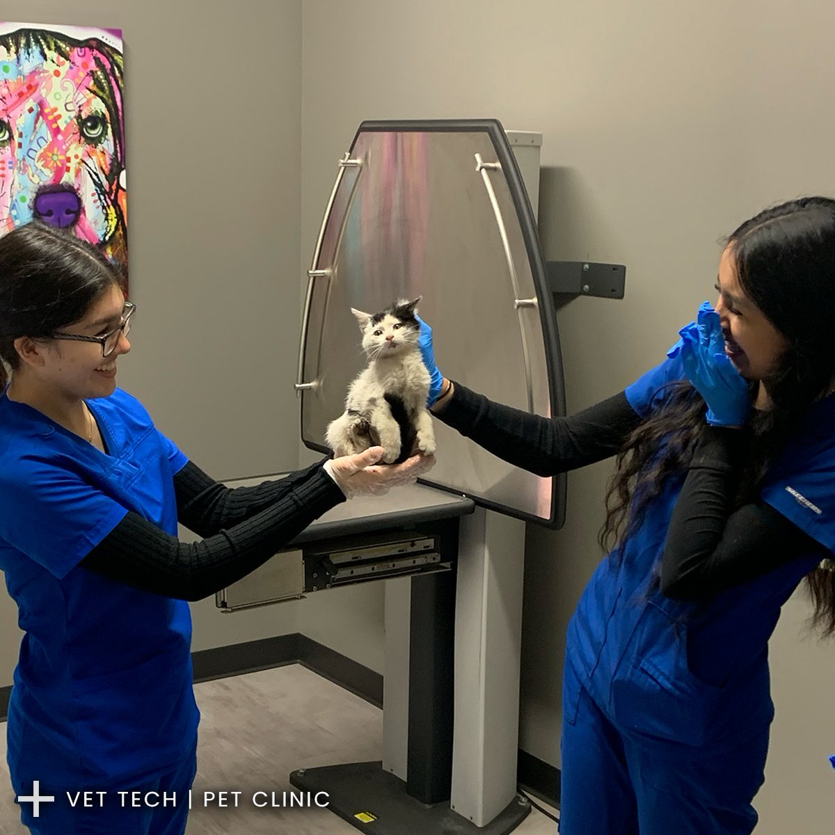 ROC | CTEC tweet media