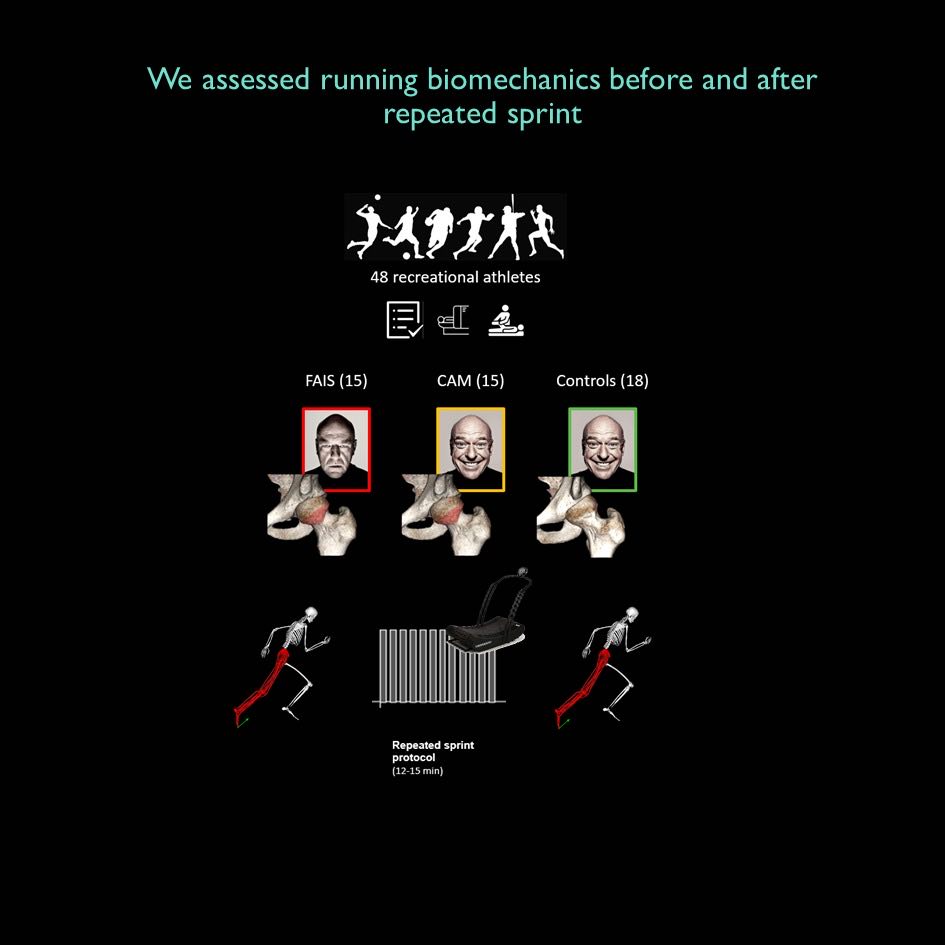 Basílio Gonçalves tweet media