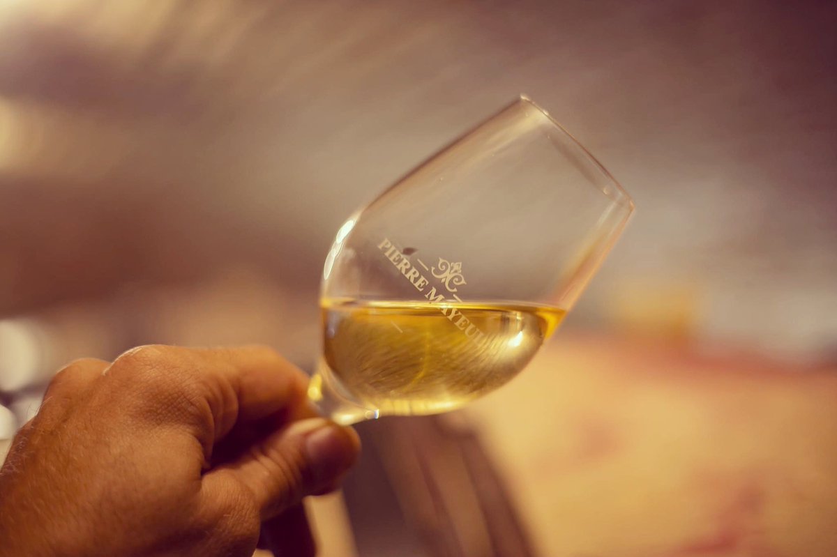 Cheers to the weekend! 🎉
We wish your glass is as full of delicious Burgundy as ours!

#burgundy #burgundywine #bourgogne #pierremayeul #whatsinyourglass