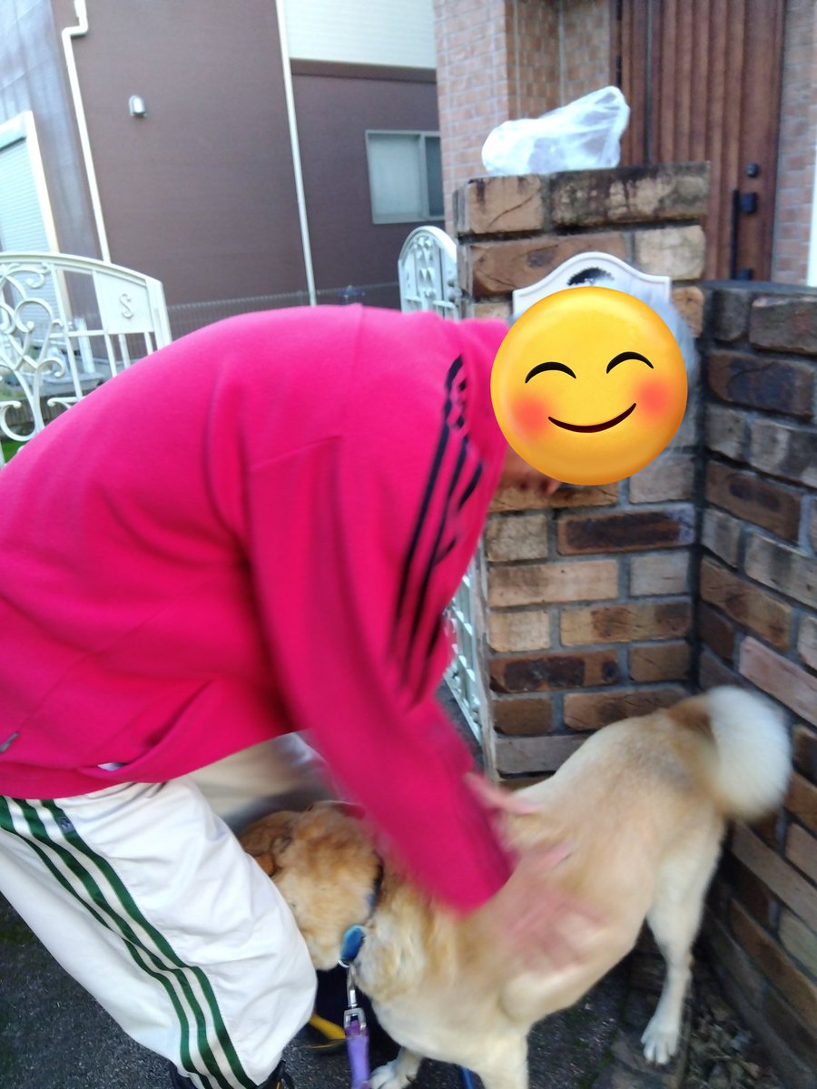ssDO05LsqEiO7UU's tweet photo. いつも、朝んぽの時に寄らせて貰うおウチがあって、おやつを頂く🐶🐾
そのおウチの犬は老衰で、居なくなったけど仲良かったウチのワンコは忘れてない🥲 https://t.co/NFPR9vSC1P