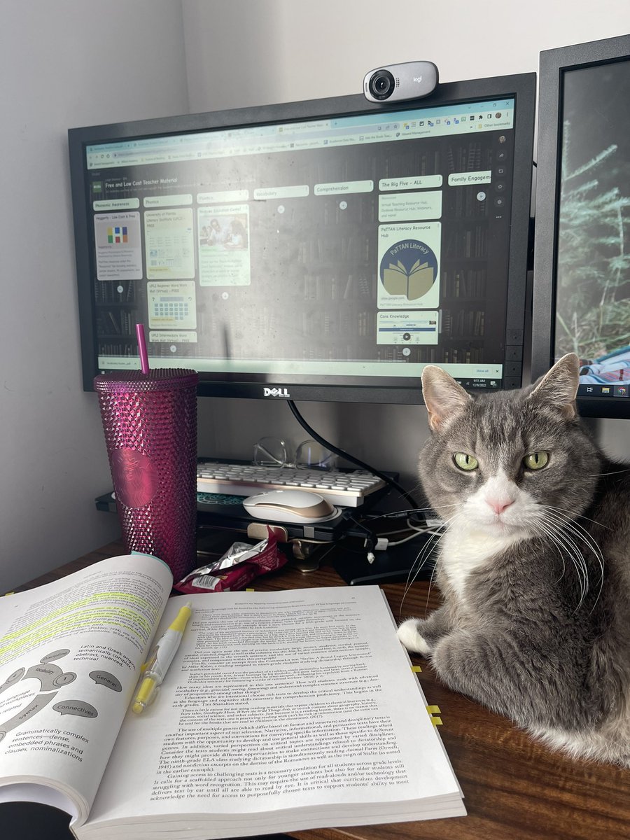 ShannonRdgNook's tweet photo. Helping me plan my Next PD session for our specialists! #thescienceofreading #ReadingComprehensionBlueprint @CapitalAreaIU https://t.co/7g6VuFL2jo