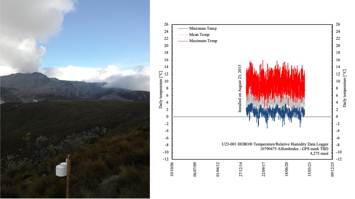 Daniel RuizCarrascal tweet media