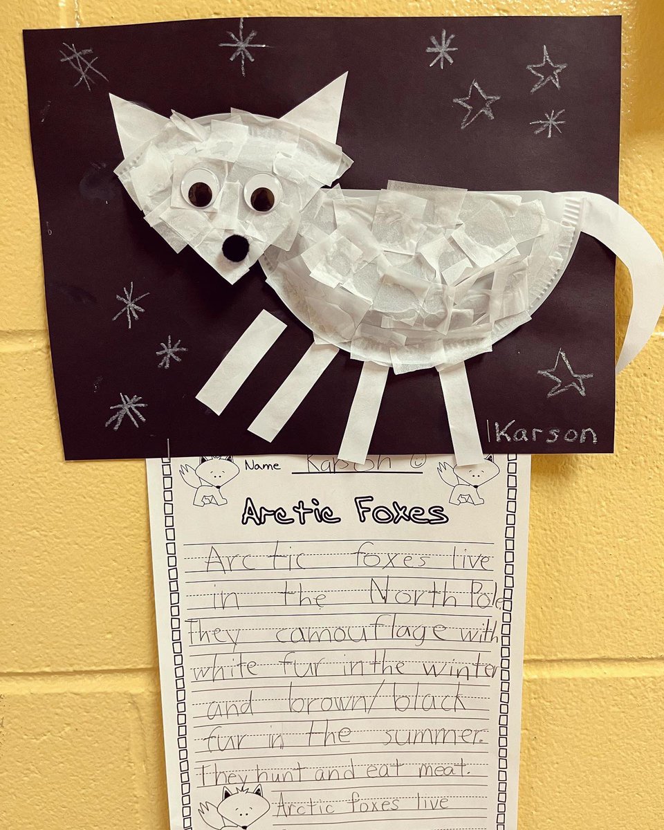 MrsDonohueEF's tweet photo. We learned all about #ArcticFoxes this week &amp; how these amazing animals adapt to their environment ❄️🦊 Ss read, researched, wrote &amp; created these awesome 3D projects ✏️📚🎨 #handsonlearning #onesuffern #everymomentmatters #everystudentvalued @CherryLaneES @SuffernCSD https://t.co/D2lIimJNbl