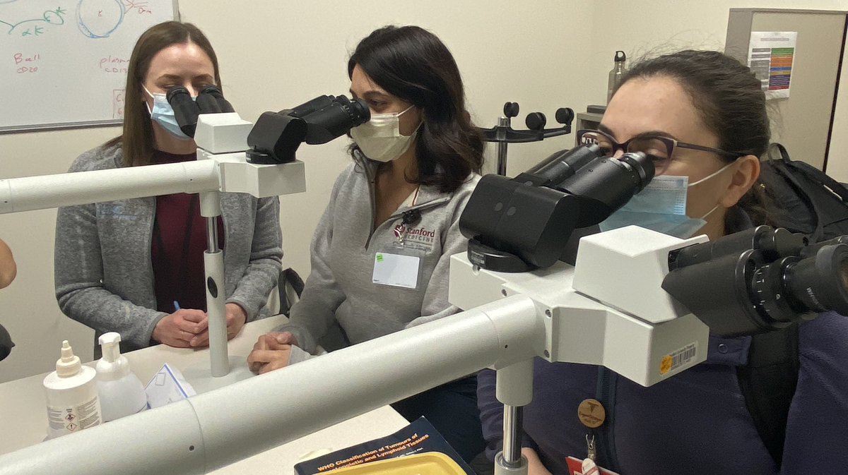 Peds ID field trip to Pathology to see some invasive fungi!