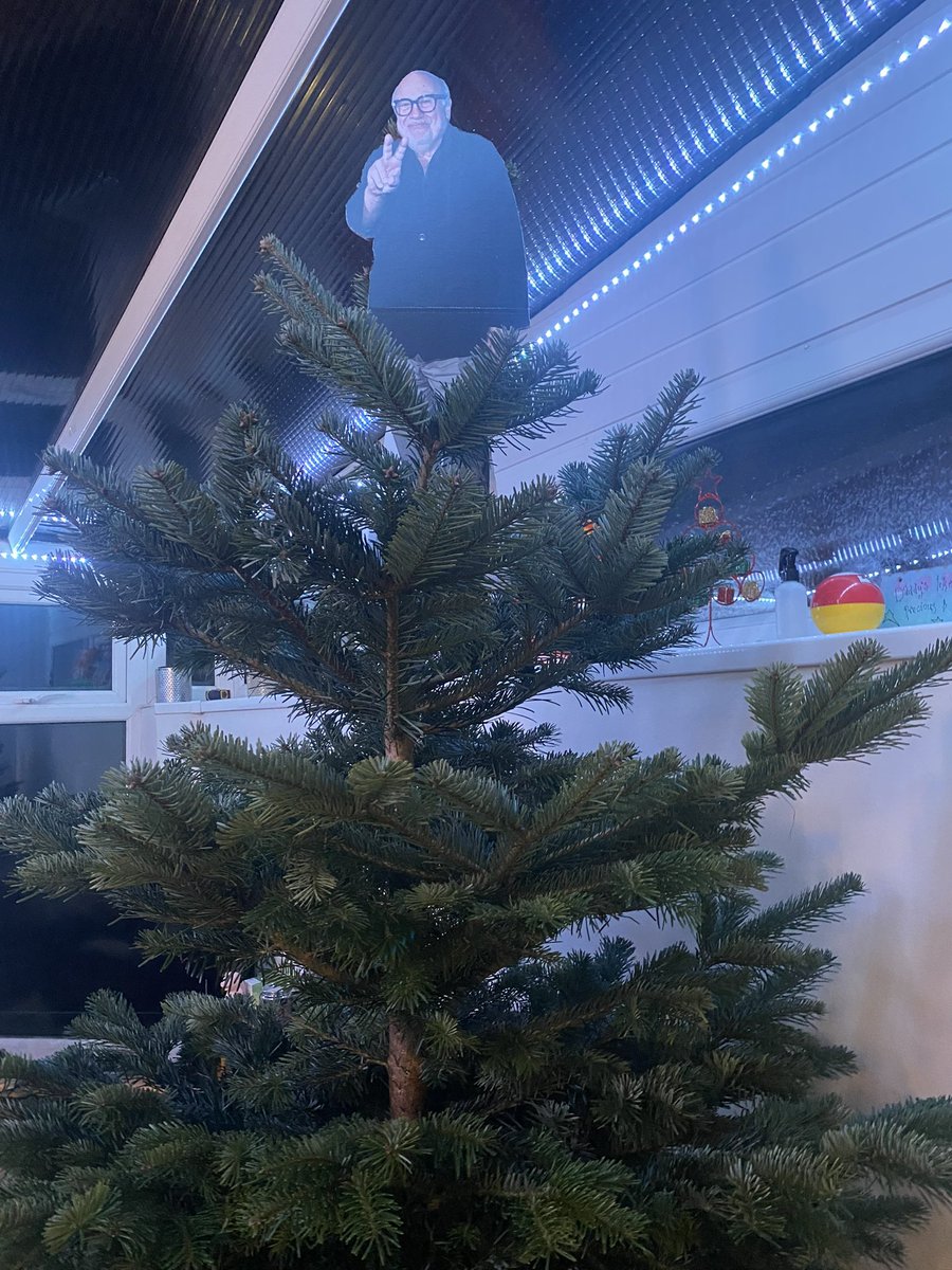 Ami9688's tweet photo. When your Husband insists @DannyDeVito needs to be the star ⭐️ for the Christmas tree 😂 https://t.co/MsnWhK6DQt