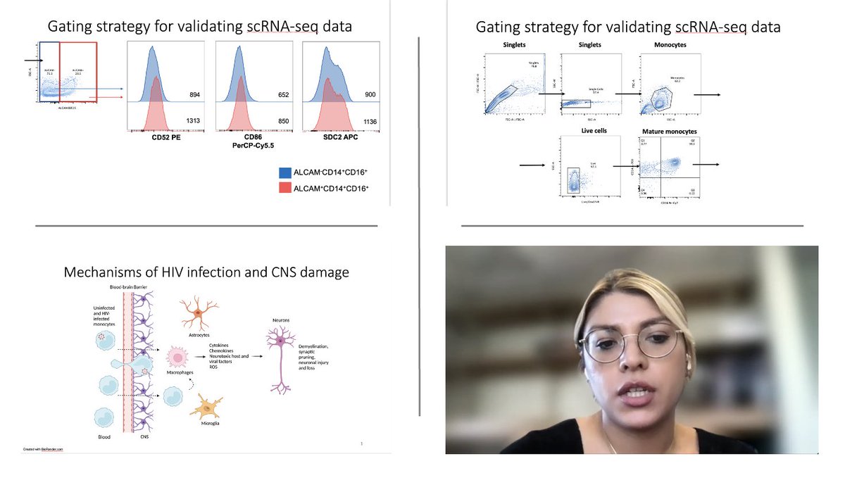 EinsteinPath's tweet photo. Super impressive works in progress today by #pathology Y5 MD PhD candidate Vanessa Ruiz, MS, re: characterizing subsets of uninfected & HIV-infected CD14+CD16+ monocytes that contribute to neuropathogenesis. Vanessa's in the lab of Dr. Joan Berman. Bravo!
#cns #HIV #neuroAIDS https://t.co/rc23jeMhcJ