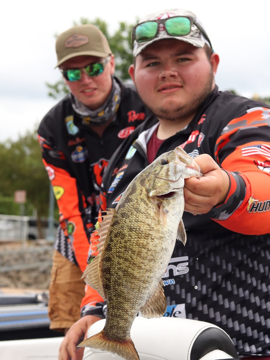 CollegiateBass's tweet photo. On #FishCatchFriday, we feature this beautiful Pickwick Lake smallmouth!
#TeamOutdoors #BassProShops #VisitTheShoals #Fishing #BassFishing #WeAreCollegiateBass https://t.co/lx10vWS6Xn