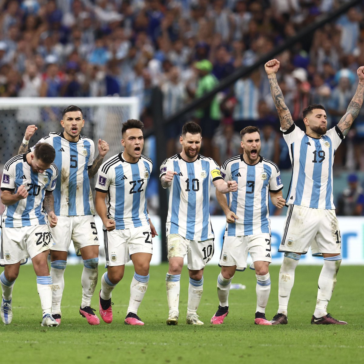 Nico Tagliafico tweet media