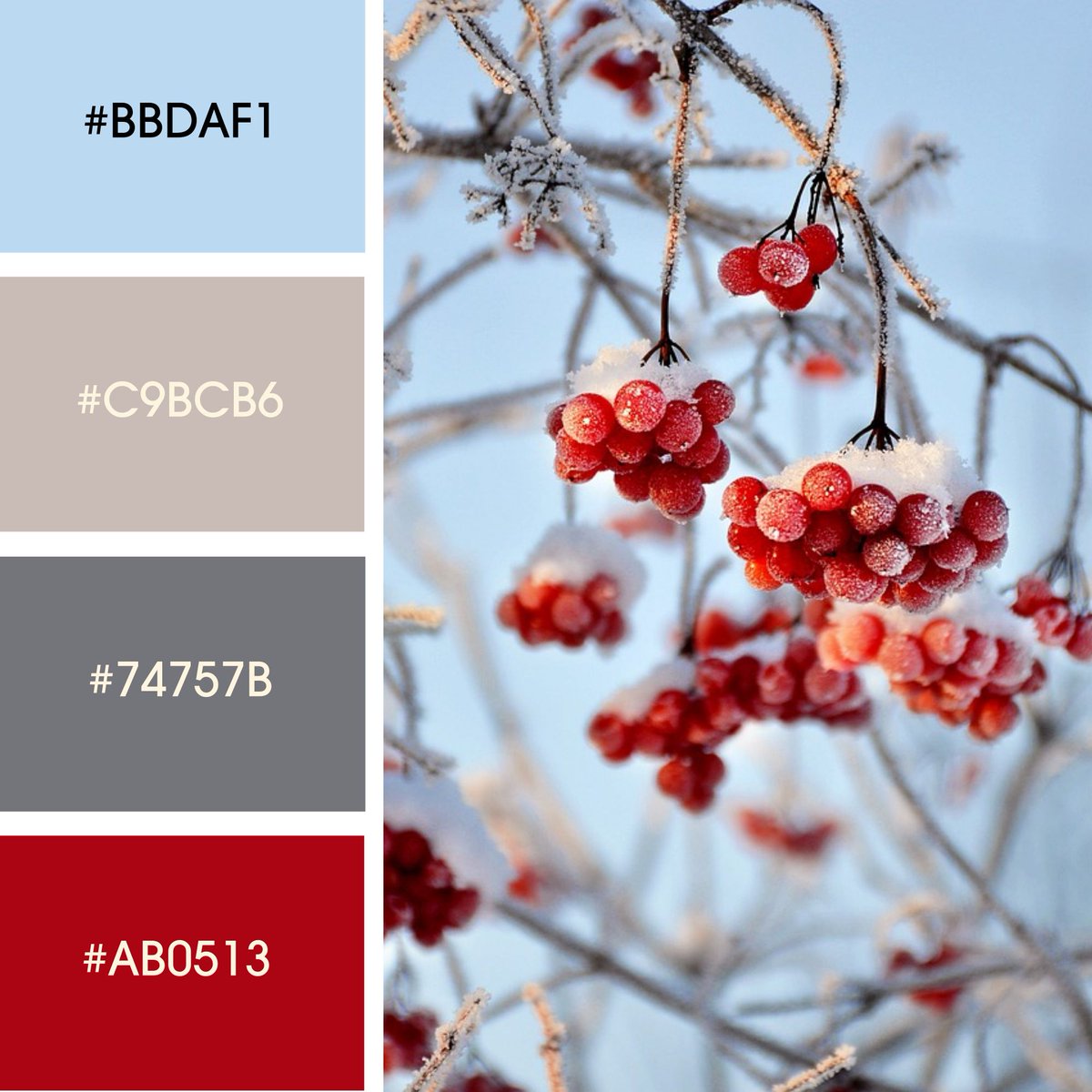Just because it's cold and drab outside doesn't mean your winter designs have to be! Experiment with these winter color palettes on your next menu or marketing project. 

#musthavemenus #design #colors #winter #restaurant #templates