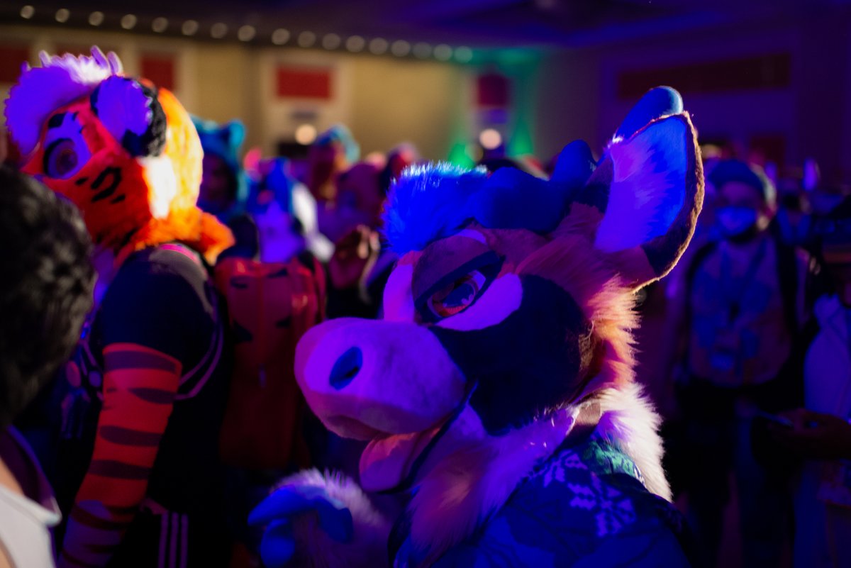 adelair_'s tweet photo. Bookie (@bookiebou) #MFF2022 #DIGIFESTxMFF https://t.co/NOYB0pyvt1