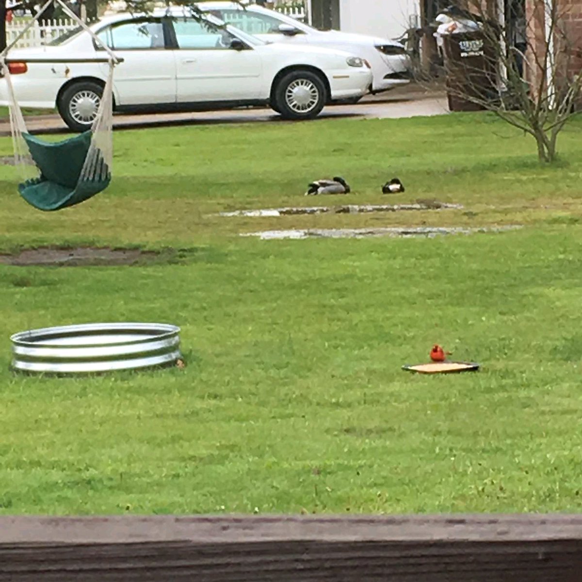 LaggingNice's tweet image. 