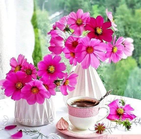 LaggingNice's tweet image. 