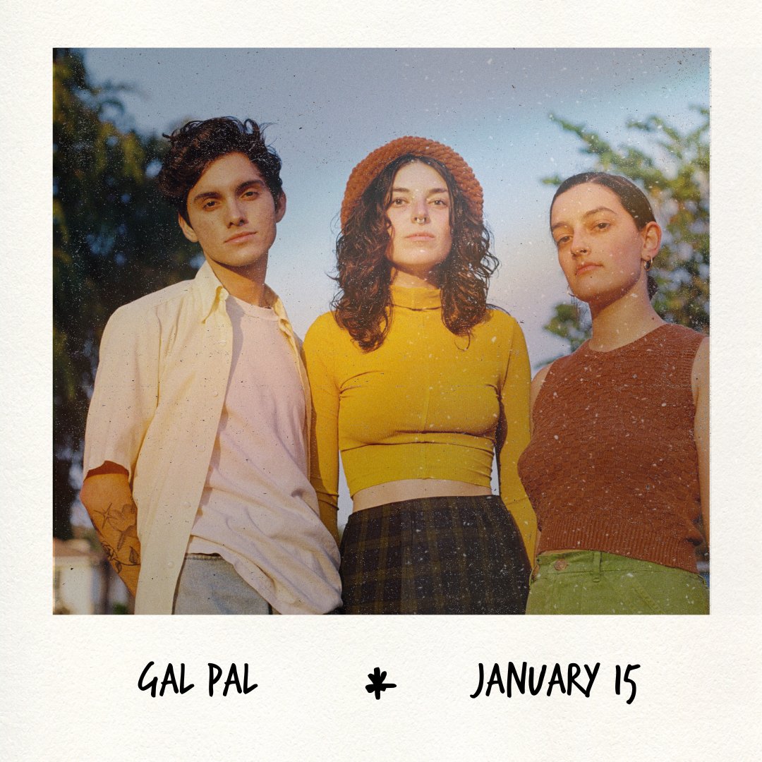 The Echo + Echoplex tweet media