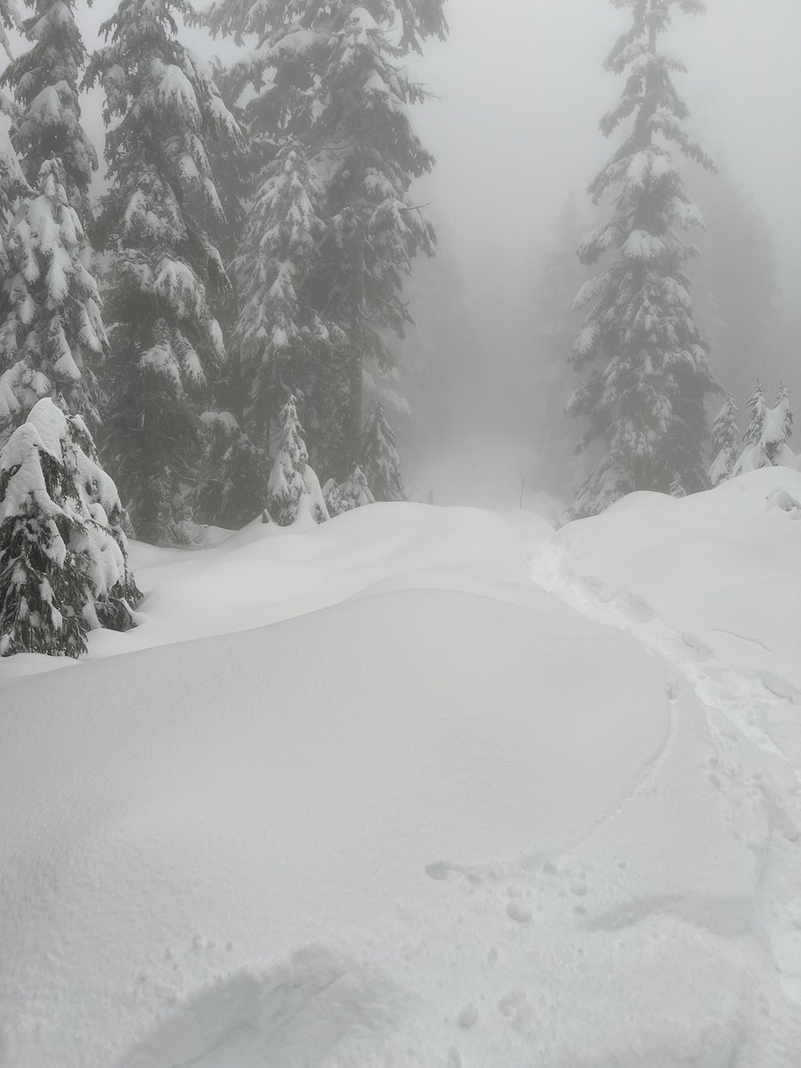 Sometimes the job is fun 😉 #outdoorlearning #outdoored <a href="/Mt_Seymour/">Mt Seymour</a>