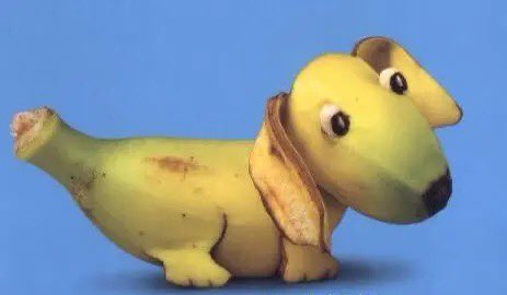 whotfisjovana's tweet photo. if you’re having a bad day look at these fruit animals 💗 https://t.co/bqq610fyGg