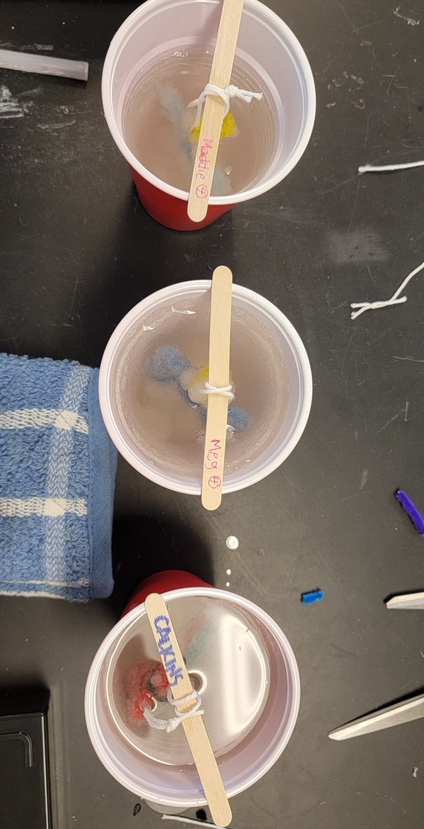 Mrs. Calkins tweet media