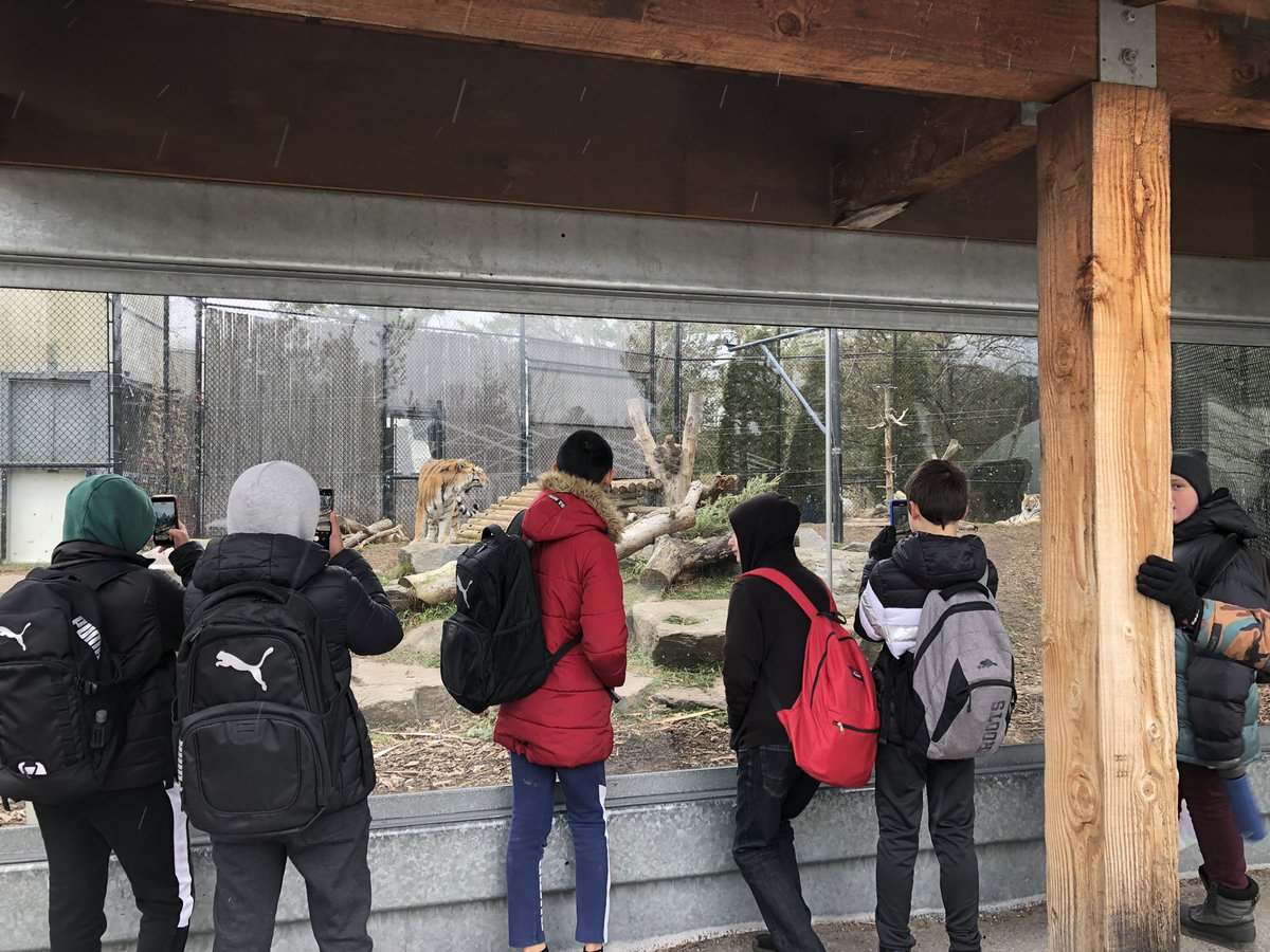 Ms.Running tweet media