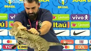 Momento cuando Brasil perdió el Mundial. #DontFuckWithCats