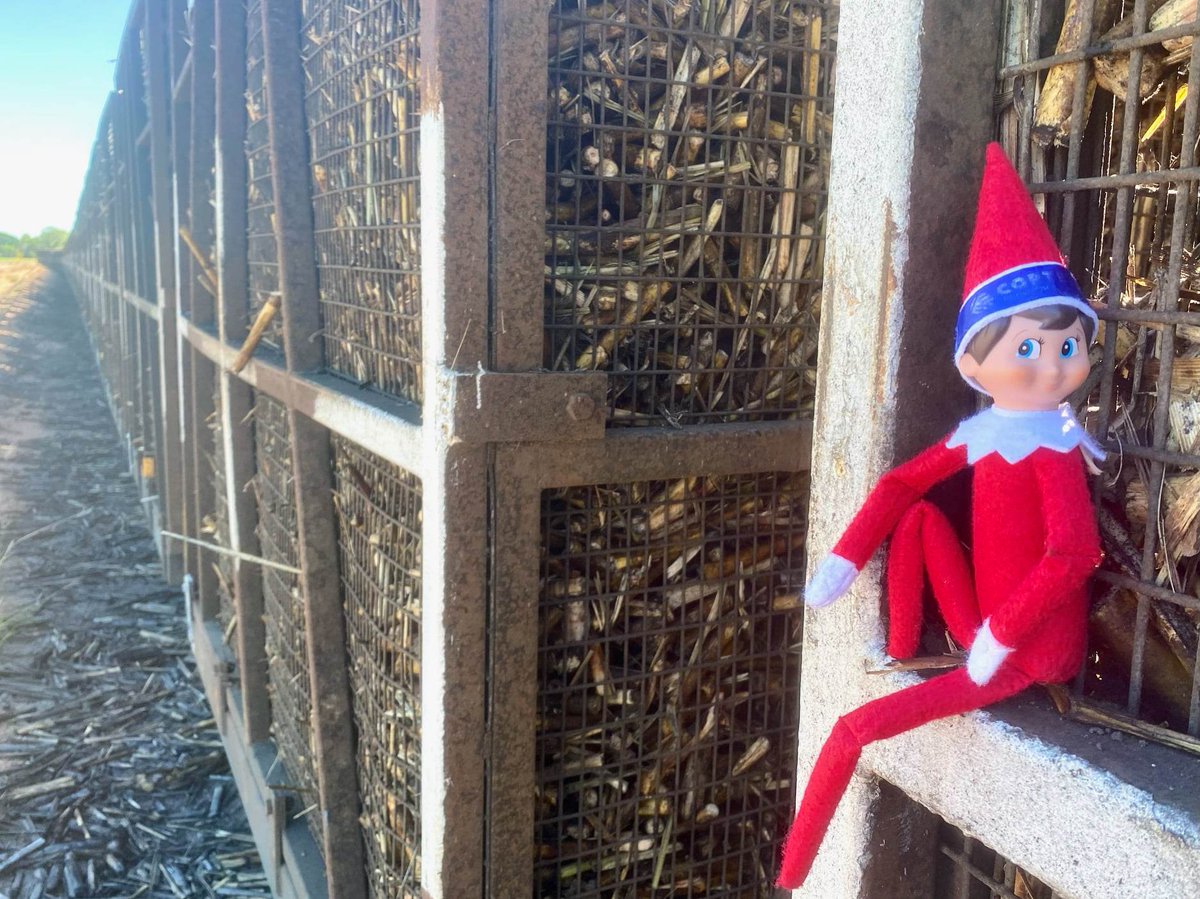 Corteva AUS tweet media