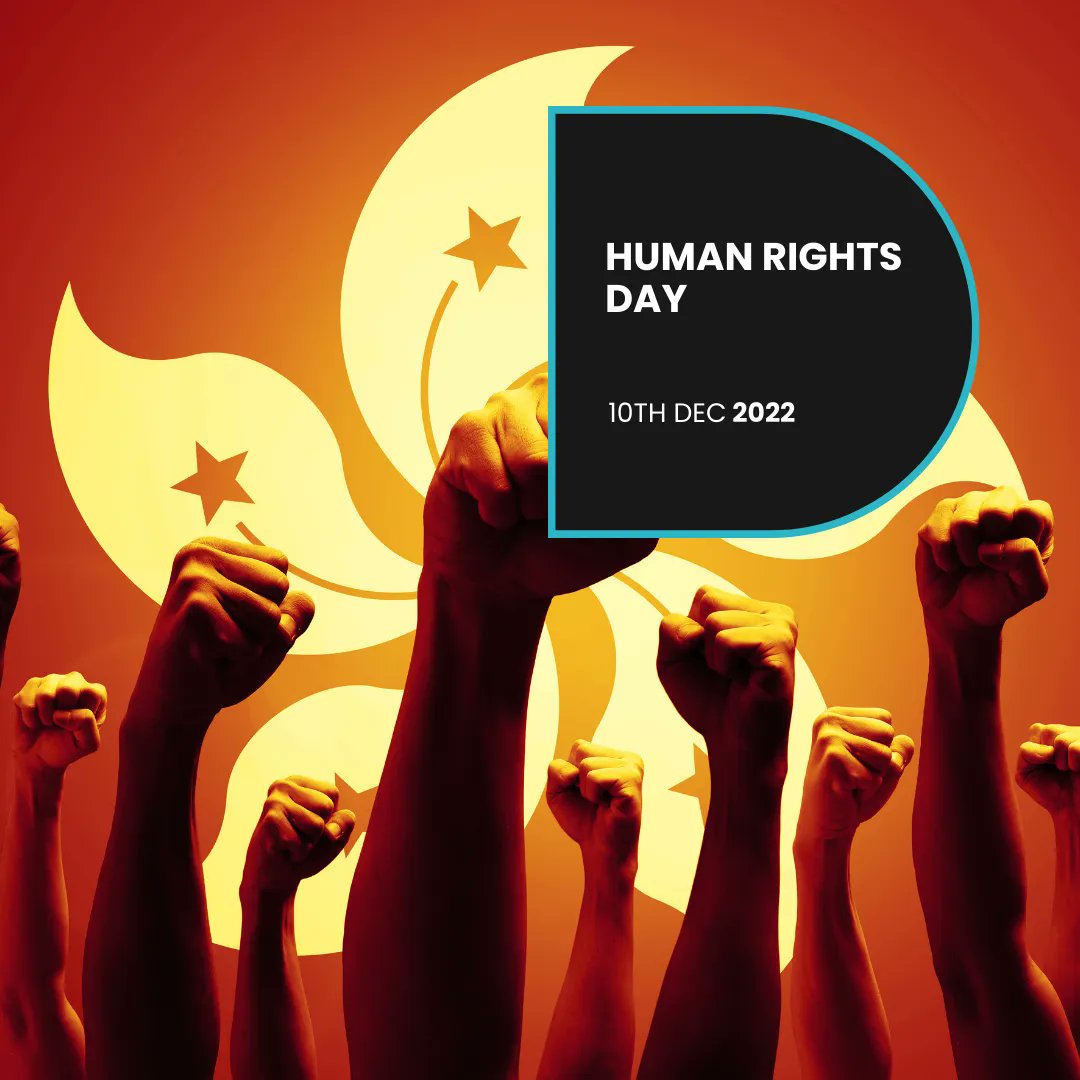 2ndwind.io tweet media